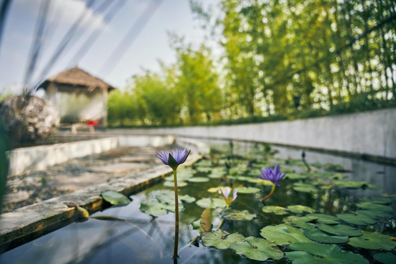 Hotel Manli Hotel Shanghai Pudong Airport - Pet Friendly