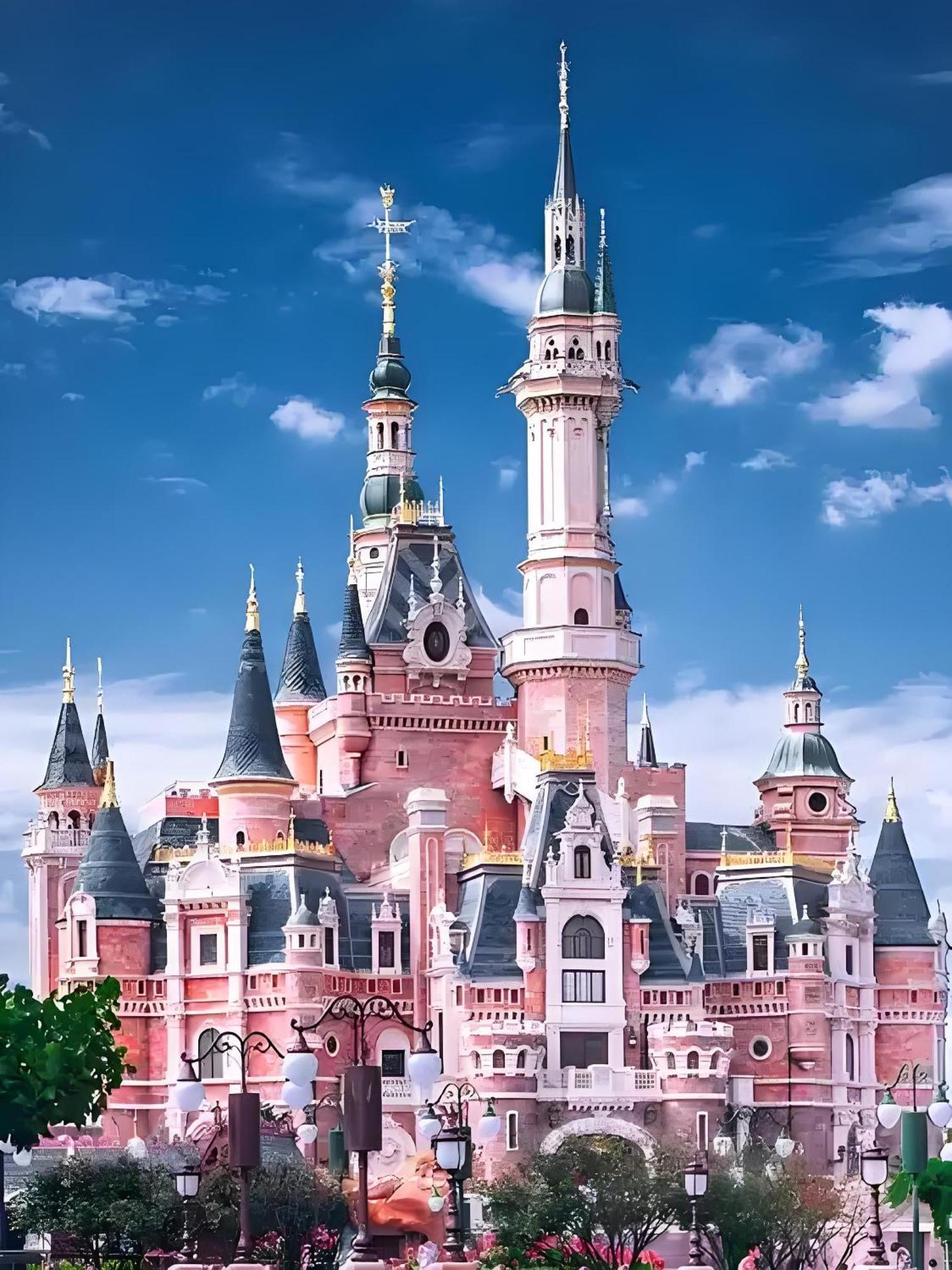 Manli Hotel Shanghai Pudong Airport Branch -Provide Free Shuttle Buses To Pudong Airport And Disneyland Hotel 4*